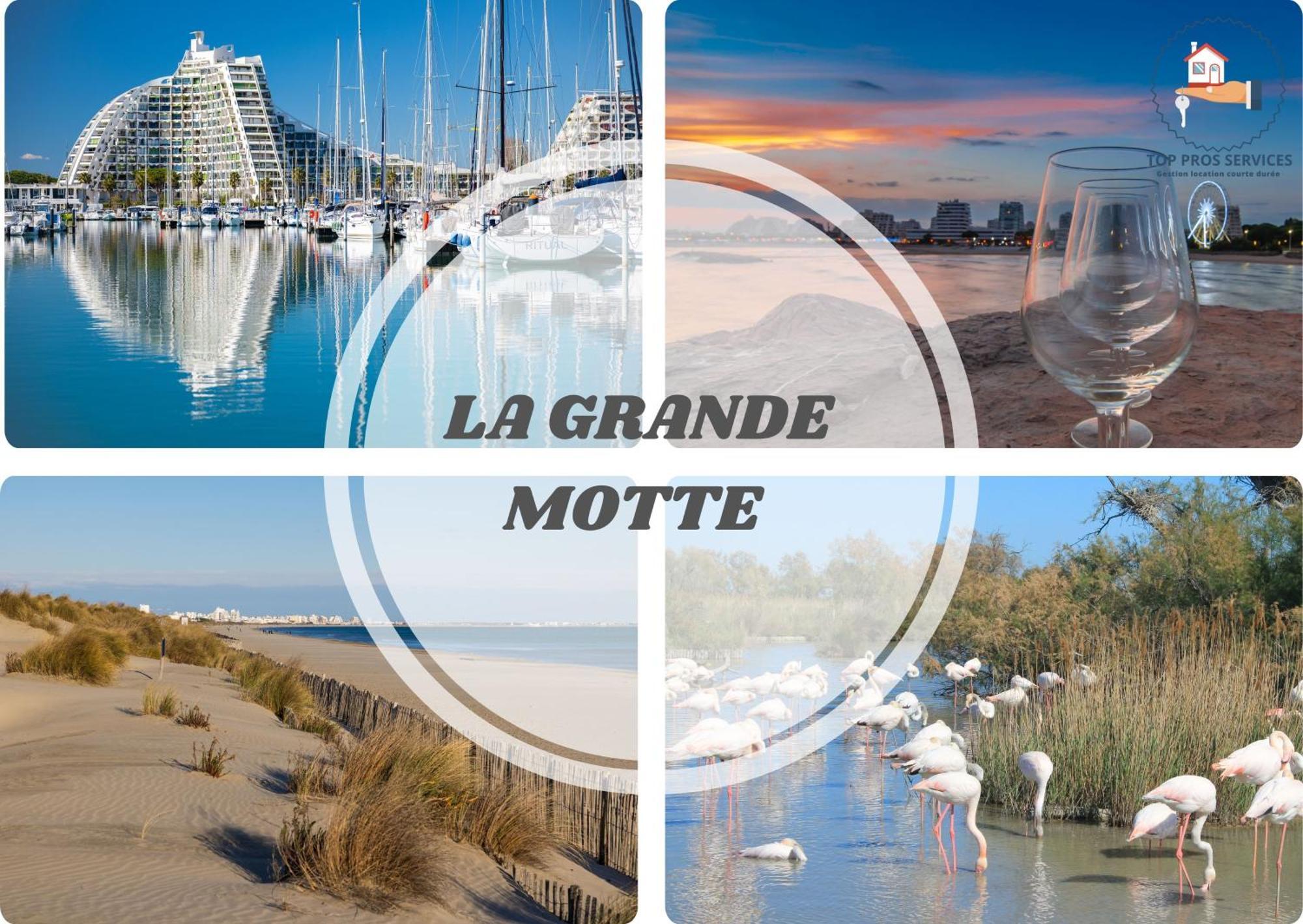 New Le Cocon-clim-videoprojecteur-parking-wifi-top Pros Conciergerie * Montpellier